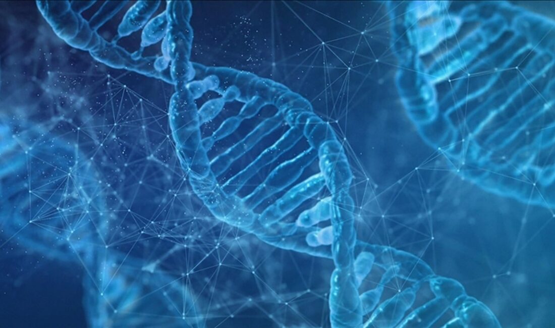Bilim insanları, bağışıklık sisteminin kendi hücre, doku veya organlarına saldırdığı