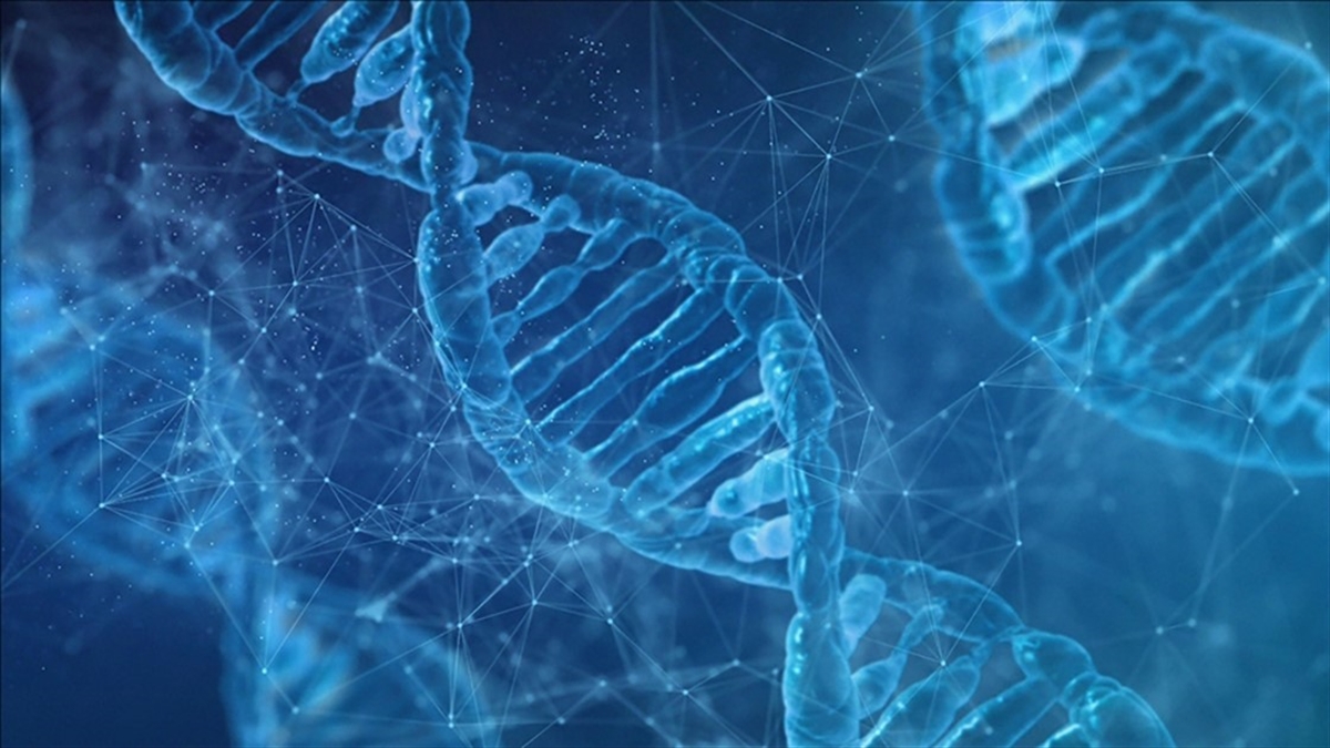 Bilim insanları, bağışıklık sisteminin kendi hücre, doku veya organlarına saldırdığı