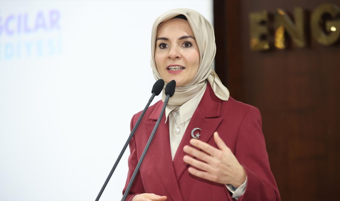 Aile ve Sosyal Hizmetler Bakanı Mahinur Özdemir Göktaş, "Bir televizyon