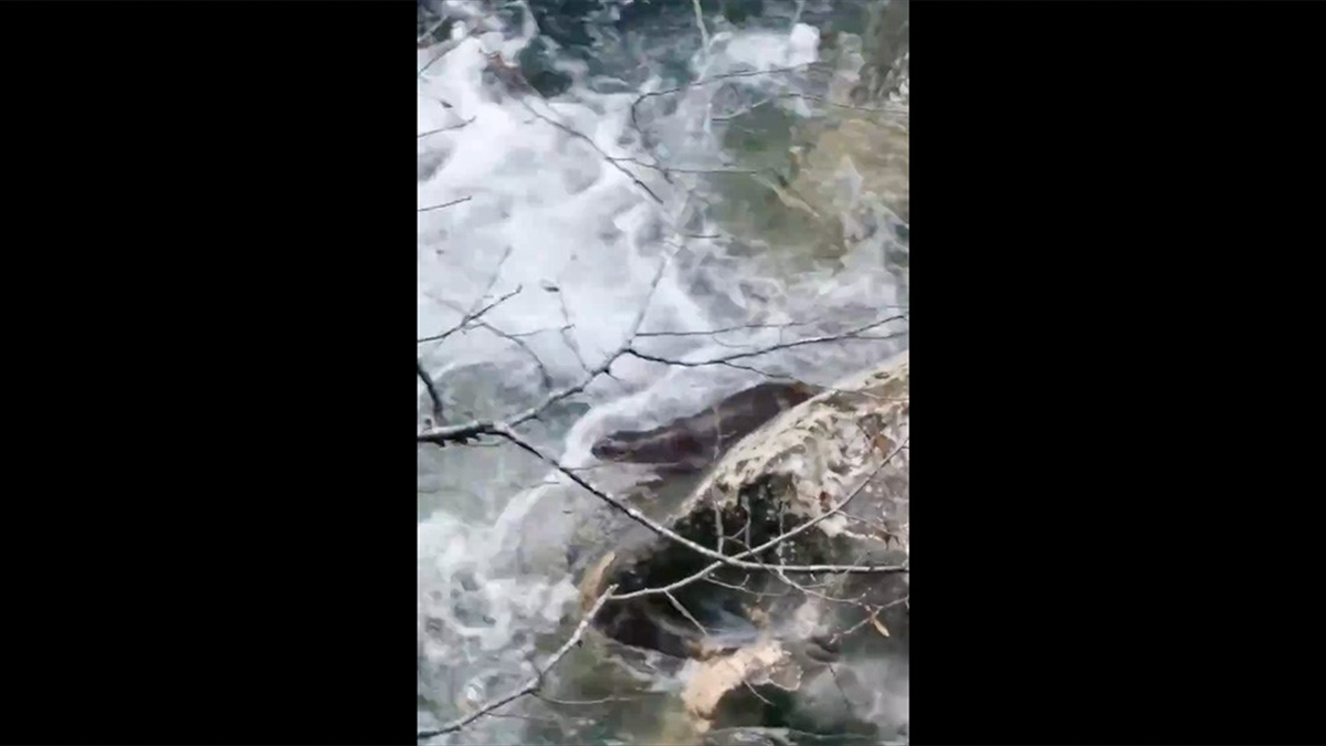 Tarım ve Orman Bakanı Yumaklı, Kastamonu'da görüntülenerek kayıt altına alınan