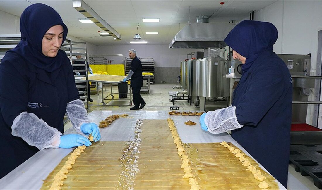 BAYBURT (AA) – Toprak kalitesi yüksek, su ve hava kirliliği
