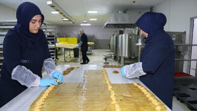 BAYBURT (AA) – Toprak kalitesi y&uuml;ksek, su ve hava kirliliği