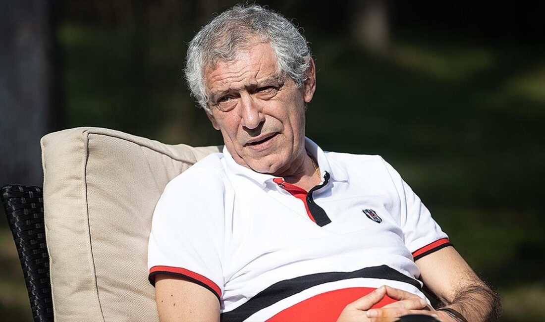 Beşiktaş Teknik Direktörü Fernando Santos, siyah-beyazlı takımın henüz istediği seviyeye
