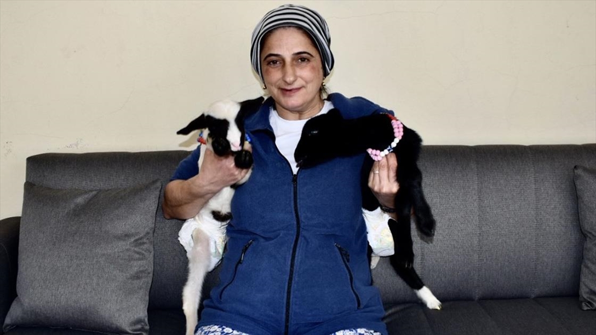 SİNOP (AA) – Ev hanımı Çilingir’in, Erikli köyünde besicilikle uğraşan