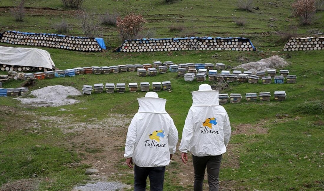 Bitlis balı, Fransa'nın başkenti Paris'te gerçekleştirilen Uluslararası Bal Yarışması'nda (PHA)