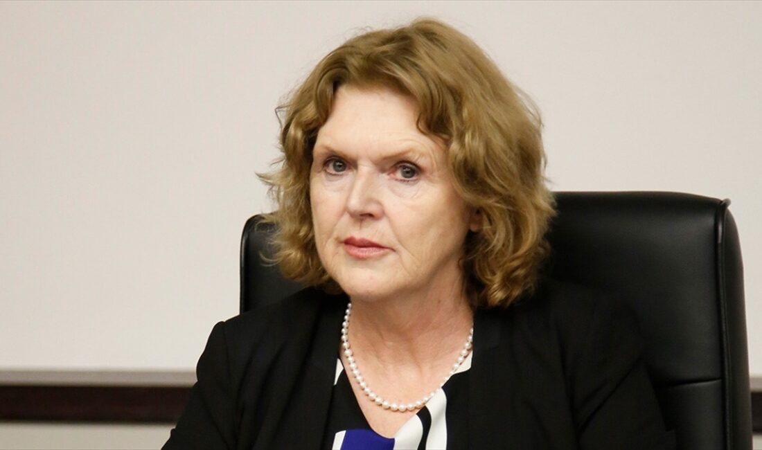 Birleşmiş Milletler (BM) İnsan Hakları Savunucuları Özel Raportörü Mary Lawlor,