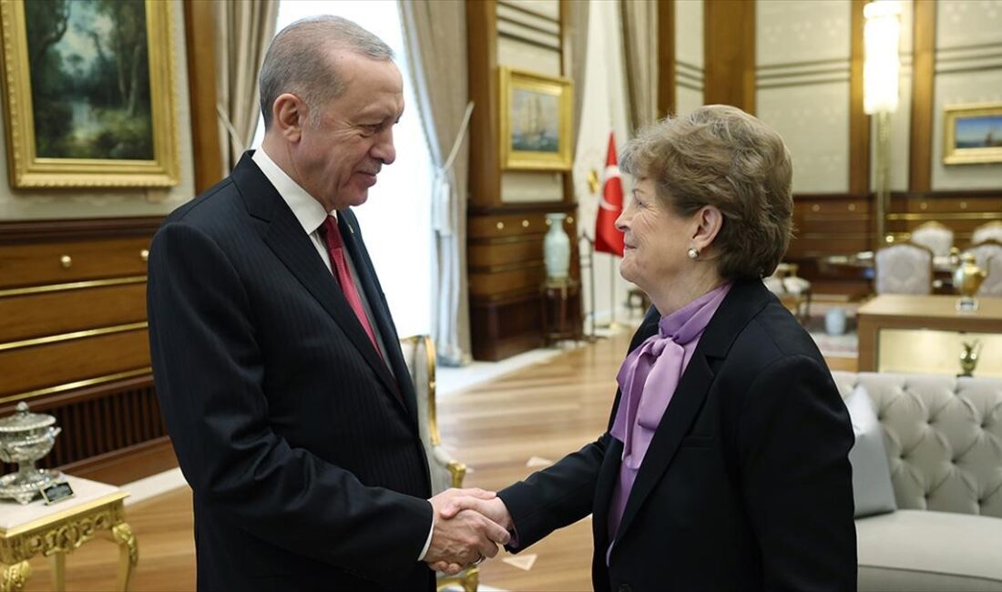 Cumhurbaşkanı Recep Tayyip Erdoğan, ABD'li Senatör Jeanne Shaheen'i kabul etti.