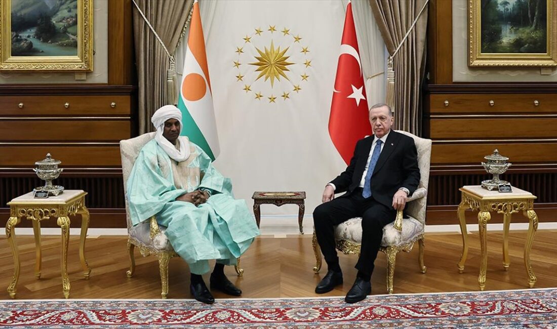 Cumhurbaşkanı Recep Tayyip Erdoğan, Nijer Başbakanı ve Ekonomi ve Finans