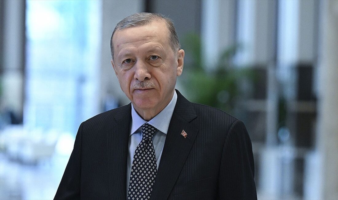 Cumhurbaşkanı Recep Tayyip Erdoğan, grekoromen ve serbest stilde Avrupa şampiyonu