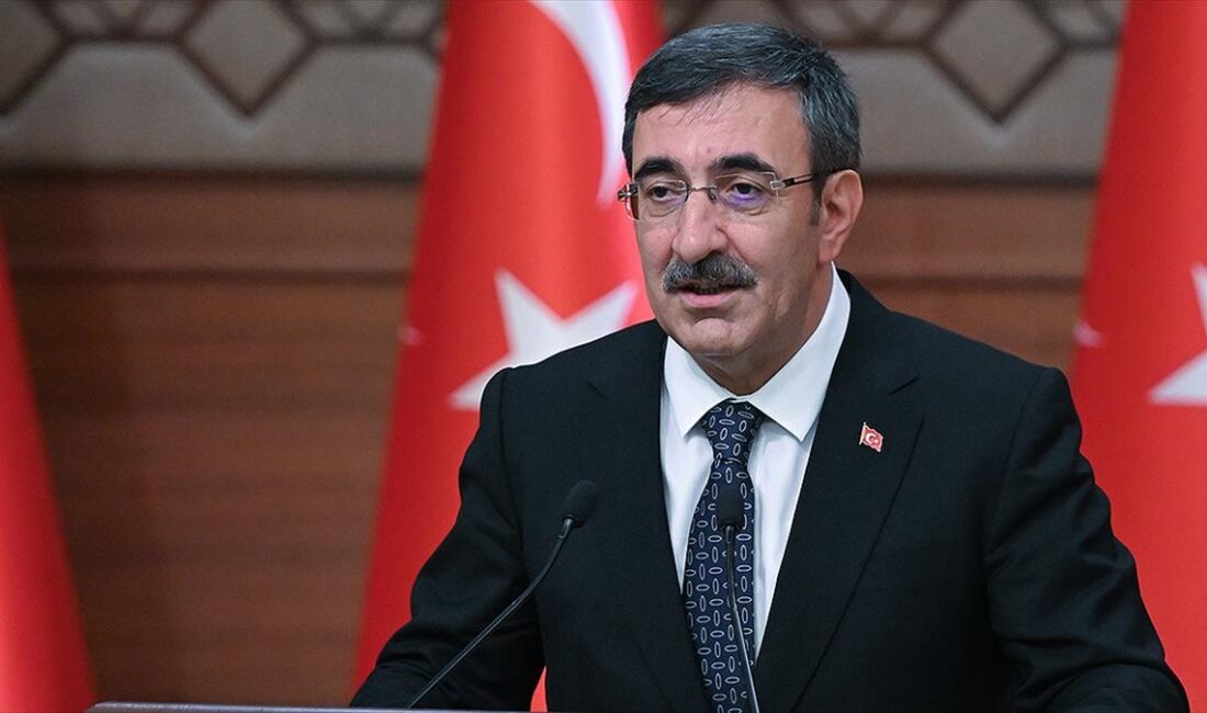 Cumhurbaşkanı Yardımcısı Cevdet Yılmaz, "Bu yıl merkezi yönetim bütçesinden deprem
