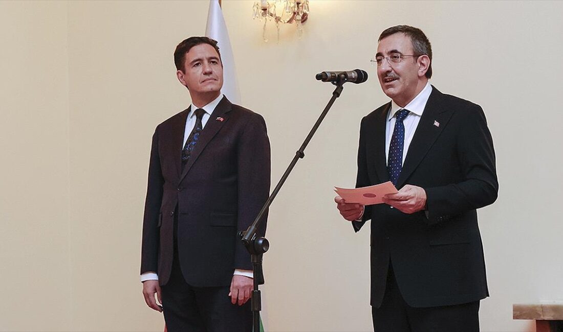 Cumhurbaşkanı Yardımcısı Yılmaz, "İki komşu, dost ve müttefik olarak Türkiye