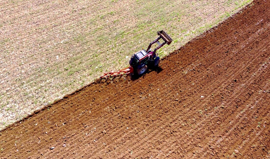 Tarım ve Orman Bakanlığı Bitkisel Üretim Genel Müdürlüğü (BÜGEM), Kahramanmaraş