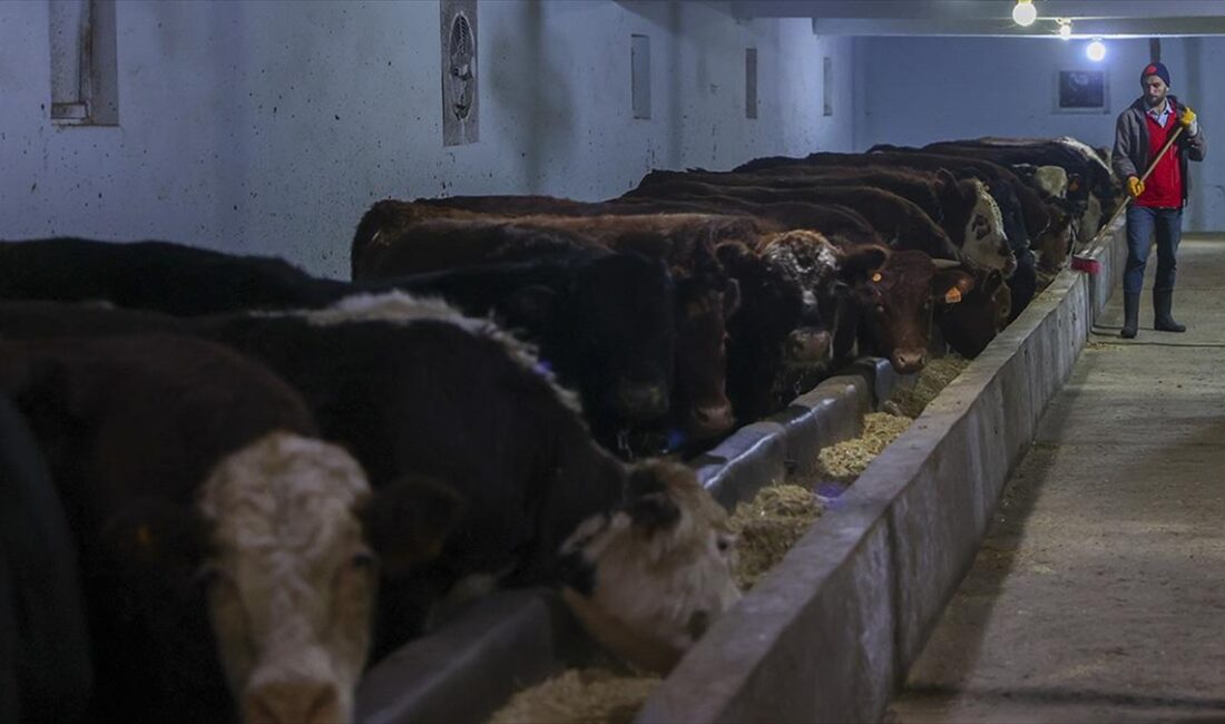 Malatya Ticaret Odasının aynı zamanda besicilik de yapan yöneticileri, deprem