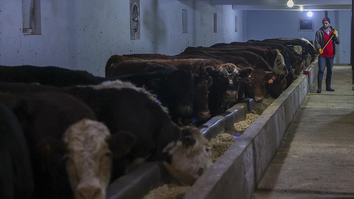 Malatya Ticaret Odasının aynı zamanda besicilik de yapan yöneticileri, deprem