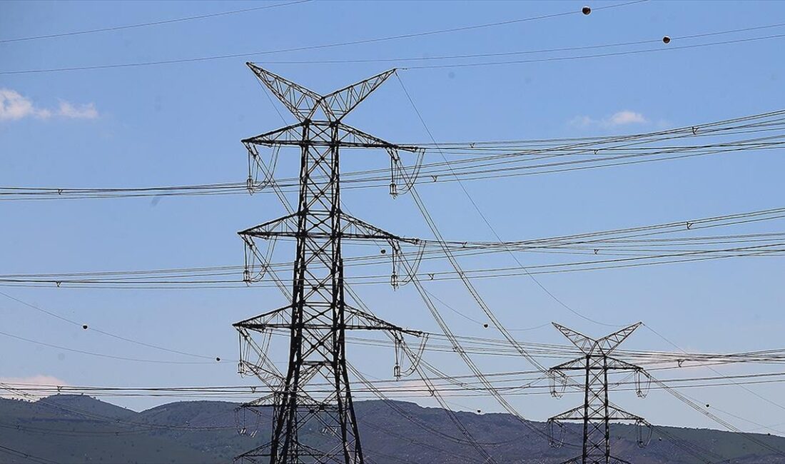 Dicle Elektrik Genel Müdürü Arvas, "6 Şubat depremleri sonrasında şebekelerinin