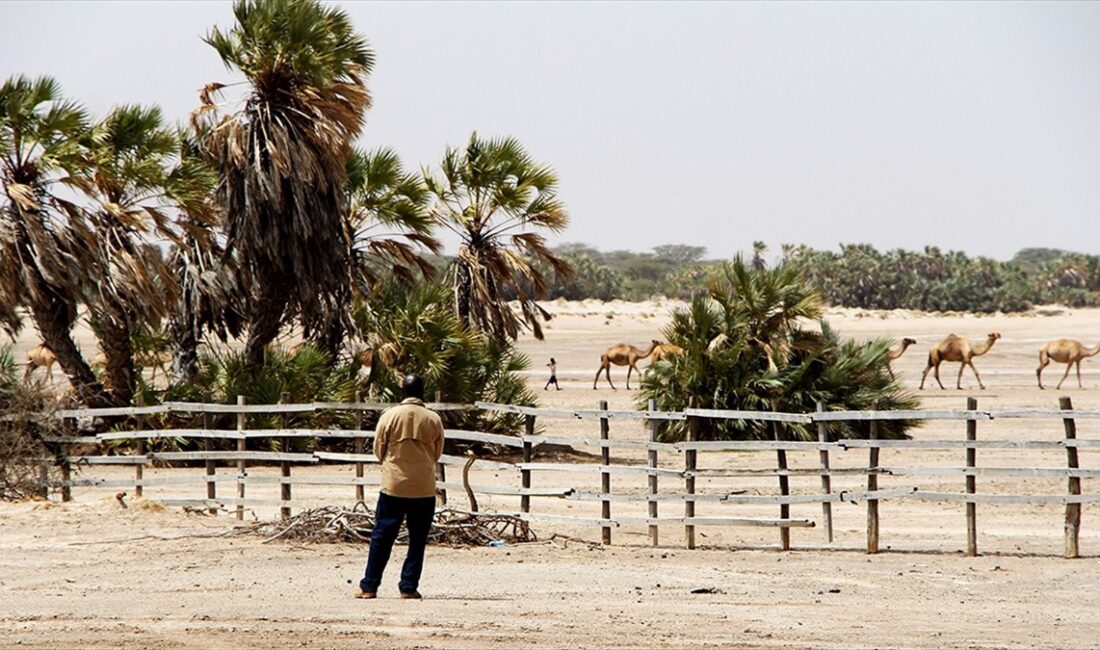 Doğu Afrika bloku Hükümetlerarası Kalkınma Otoritesi (IGAD), mart ve mayıs