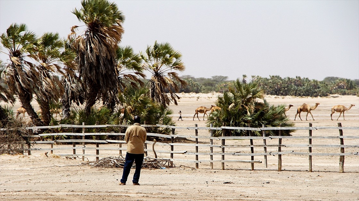 Doğu Afrika bloku Hükümetlerarası Kalkınma Otoritesi (IGAD), mart ve mayıs