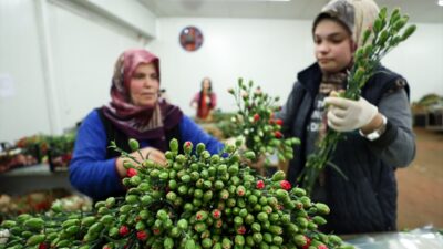 ANTALYA (AA) – HATİCE ÖZDEMİR TOSUN – Türkiye'den 14 Şubat