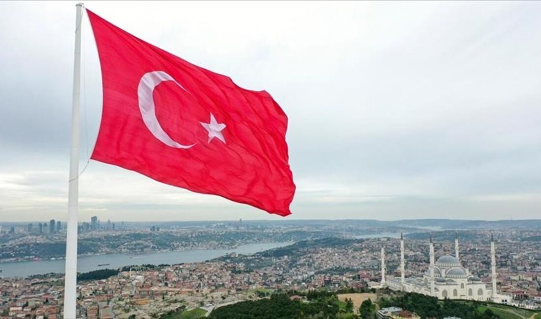 Mali Eylem Görev Gücü (FATF), Türkiye'nin kurumun kara para aklama