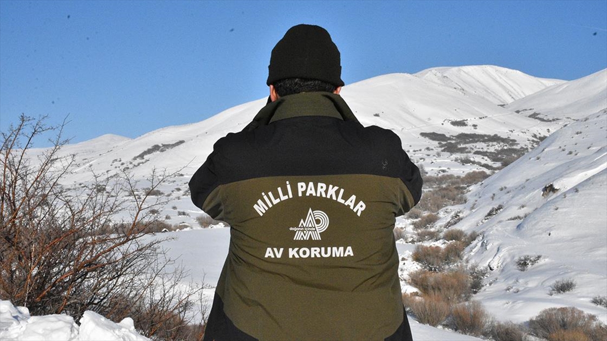 Dondurucu soğukların etkili olduğu Erzurum'da Doğa Koruma ve Milli Parklar