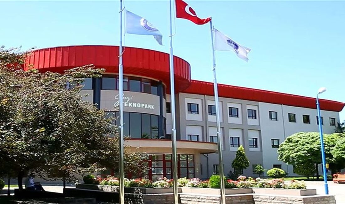Gazi Teknopark Teknoloji Geliştirme Bölgesi Genel Müdürü Elif Başak Teksin,