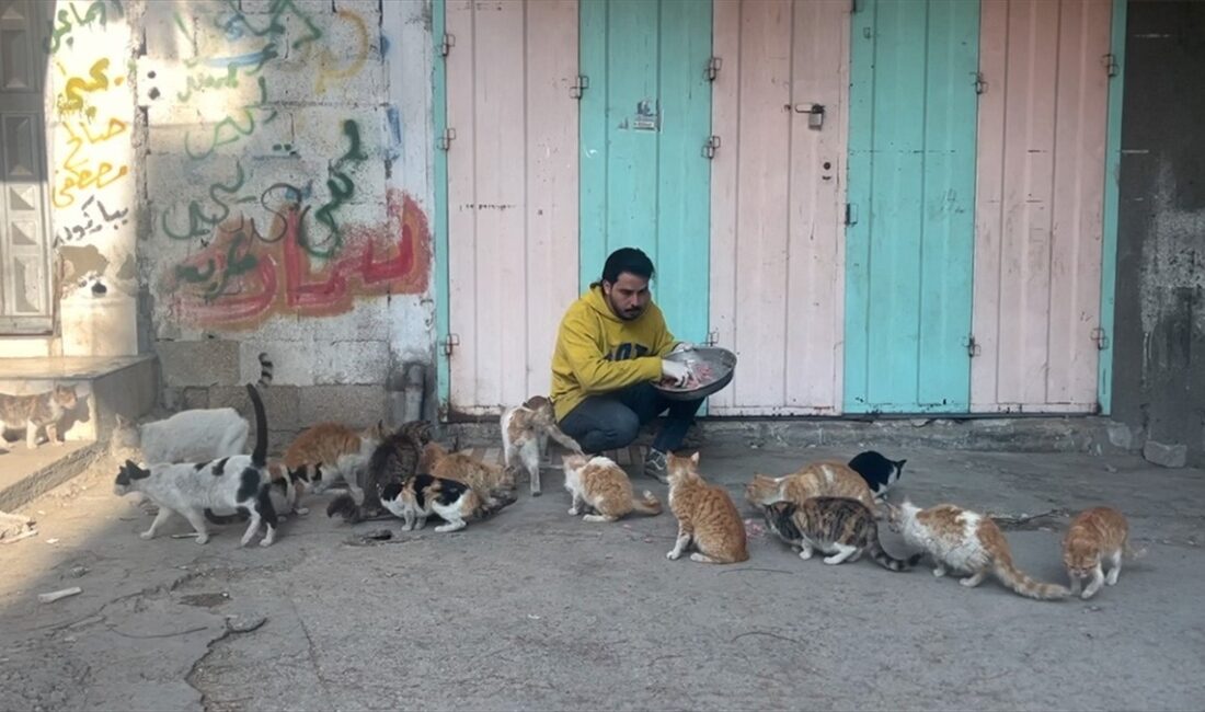 İsrail'in saldırılarıyla insanlar gibi tüm canlıları açlığa ve ölüme mahkum