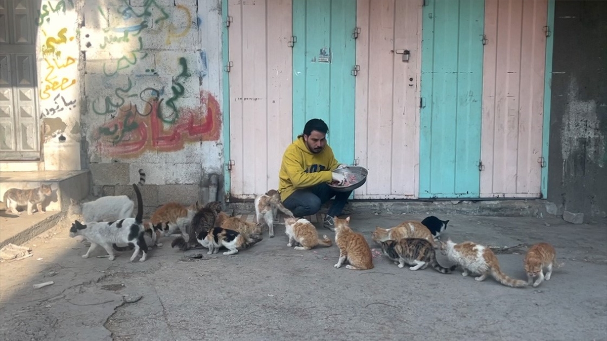 İsrail'in saldırılarıyla insanlar gibi tüm canlıları açlığa ve ölüme mahkum