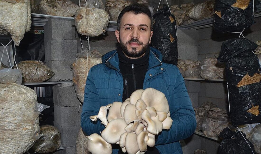 Hakkari'nin Yüksekova ilçesinde girişimci Macit Han, sosyal medyadan gördüğü videodan