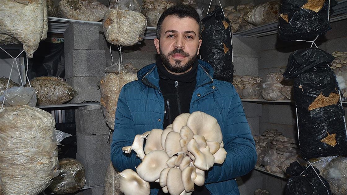 Hakkari'nin Yüksekova ilçesinde girişimci Macit Han, sosyal medyadan gördüğü videodan