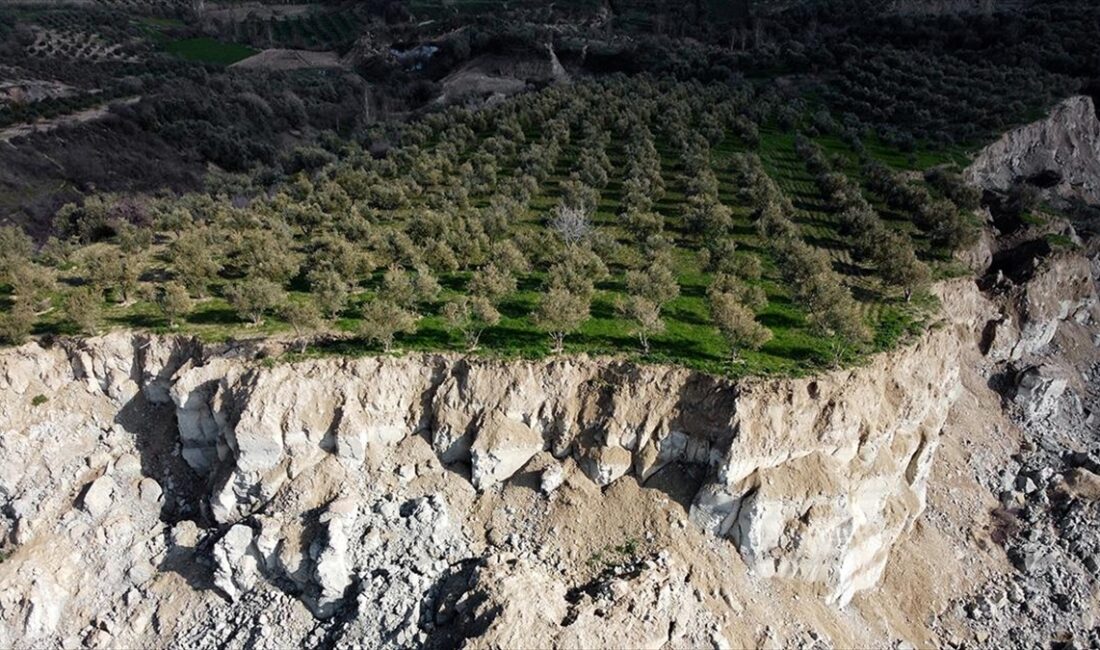 Kahramanmaraş merkezli depremlerden etkilenen Hatay'ın Altınözü ilçesinde, zeytinlik alanda oluşan