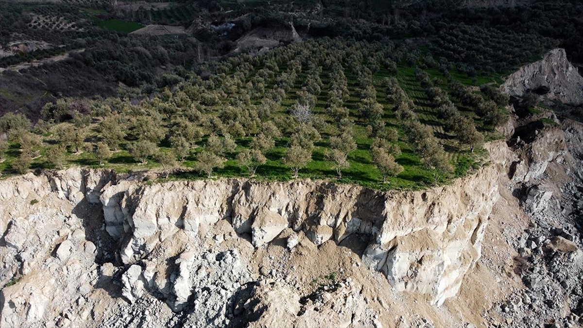 Kahramanmaraş merkezli depremlerden etkilenen Hatay'ın Altınözü ilçesinde, zeytinlik alanda oluşan
