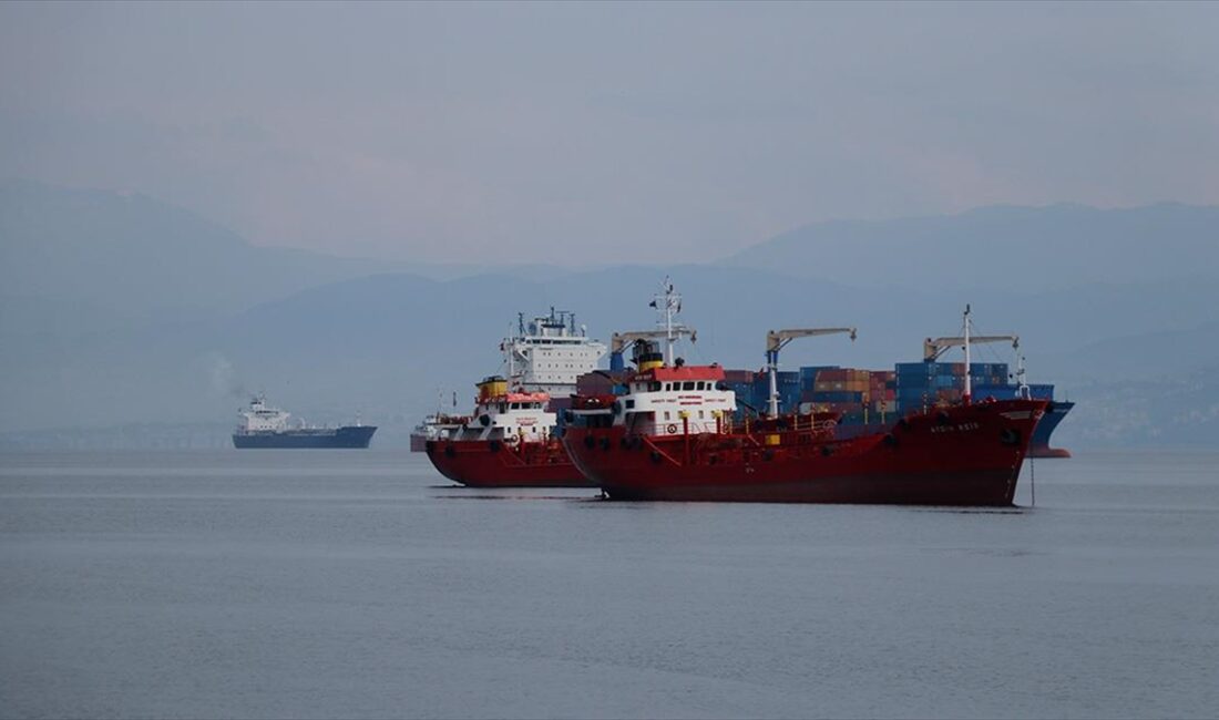 Deniz taşımacılığının önemli merkezlerinden İzmit Körfezi'ndeki limanlara 2023 yılında 9