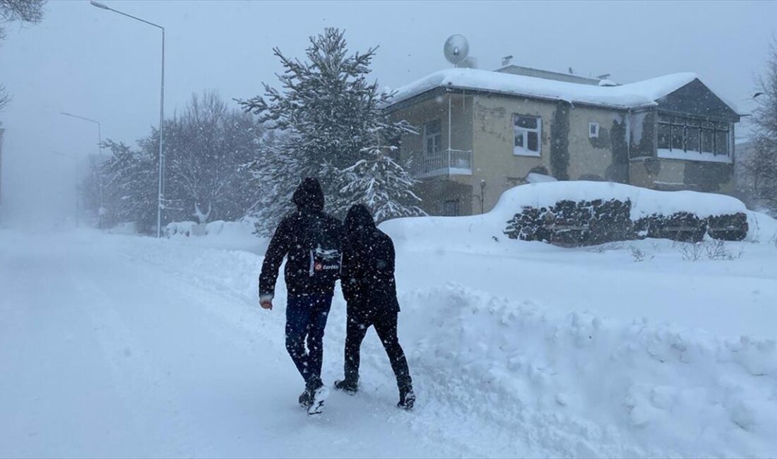 Ardahan'da 2 gündür etkili olan yoğun kar ve tipi yaşamı