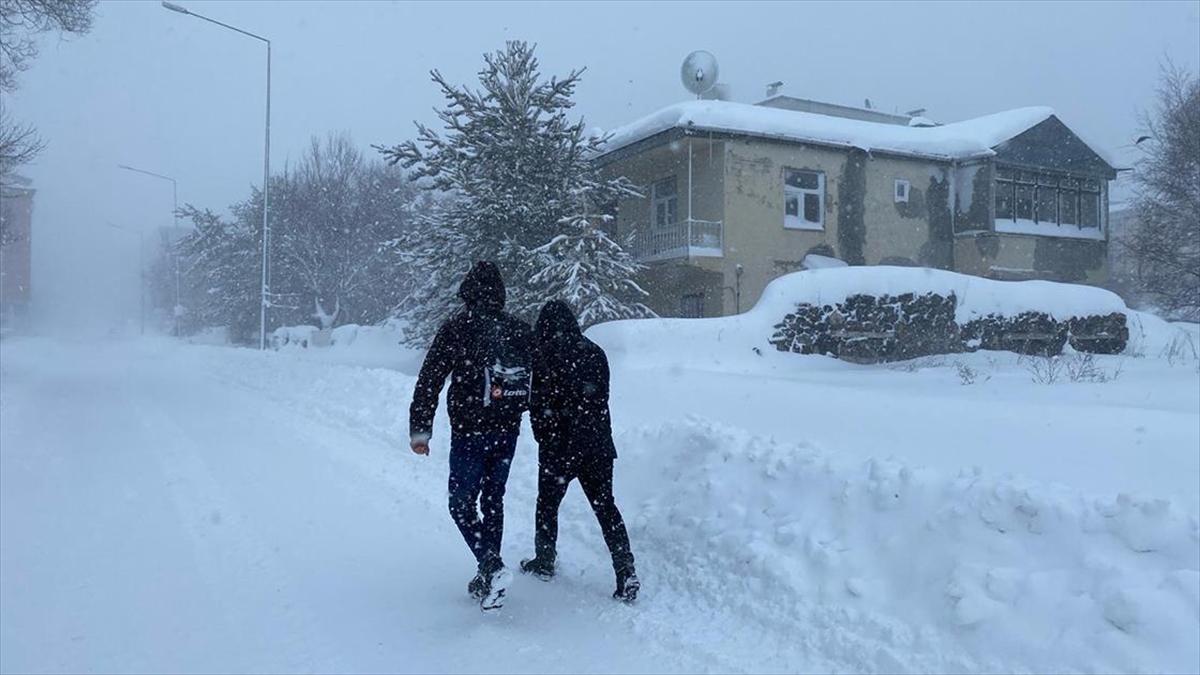 Ardahan'da 2 gündür etkili olan yoğun kar ve tipi yaşamı