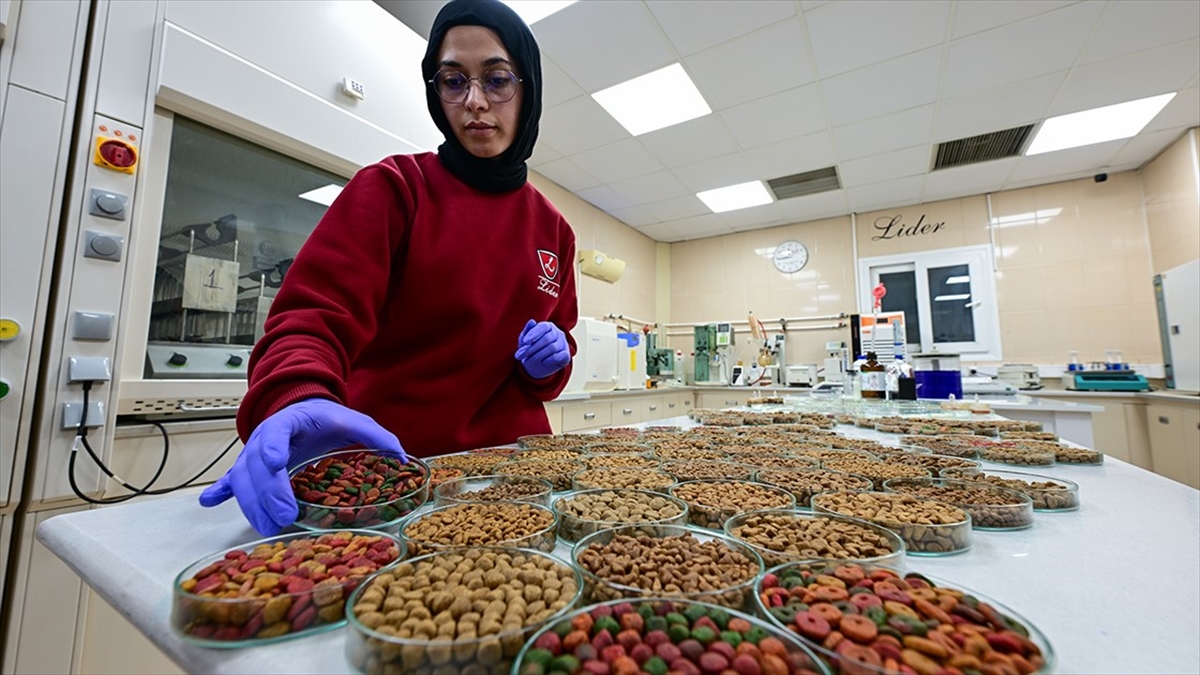 Türkiye'nin 2014 yılında 4,5 milyon dolar olan kedi köpek maması
