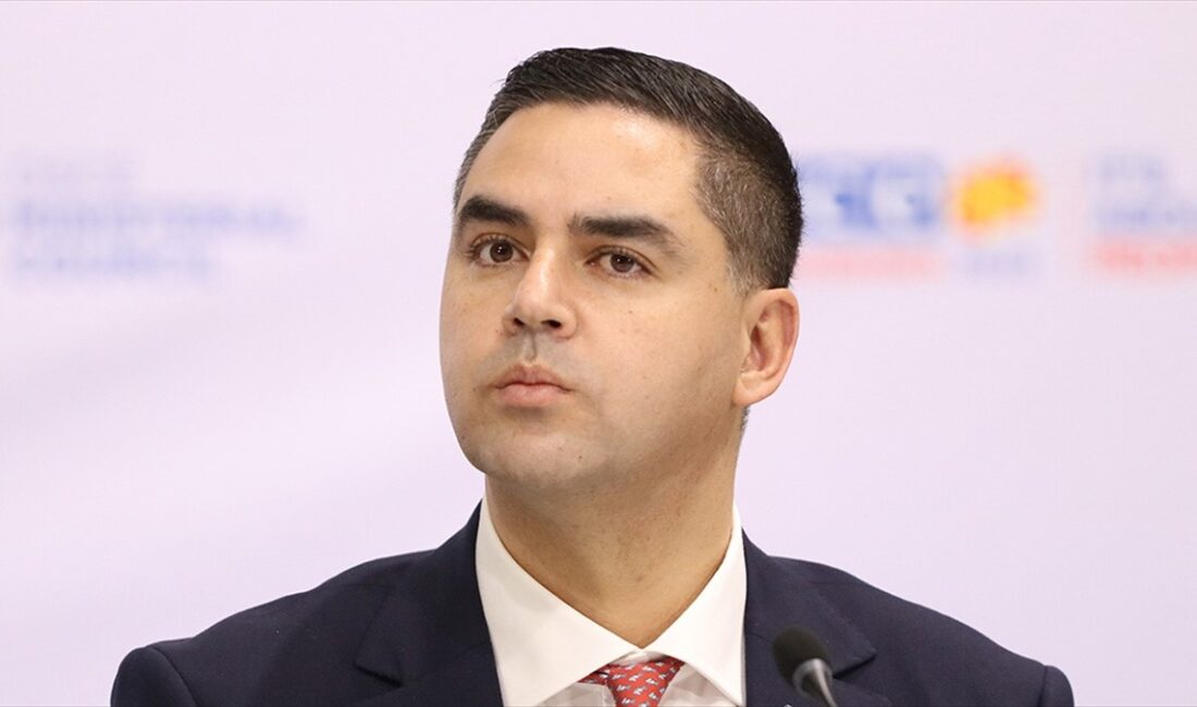 BERLİN (AA) – 60. Uluslararası Münih Güvenlik Konferansı’na katılan Borg,