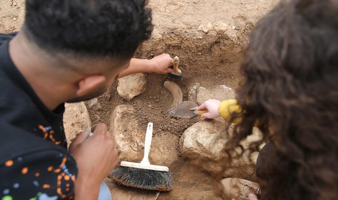 Mardin'in Kızıltepe ilçesindeki Büyükboğaziye Höyüğü'nde arkeolojik kazı çalışması yürütülüyor.