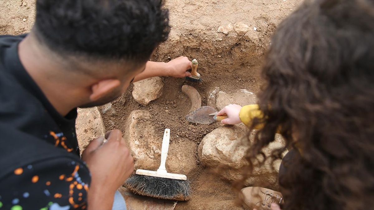 Mardin'in Kızıltepe ilçesindeki Büyükboğaziye Höyüğü'nde arkeolojik kazı çalışması yürütülüyor.