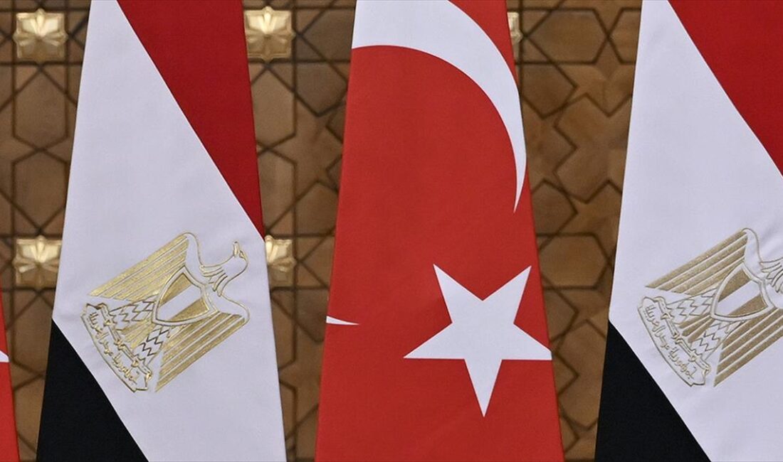 DEİK Türkiye-Mısır İş Konseyi Başkanı Mustafa Denizer, "Mısır'da 3 milyar