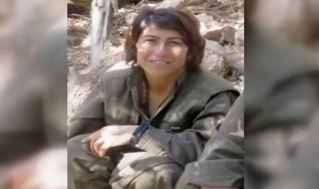 Milli İstihbarat Teşkilatı (MİT), terör örgütü YPG/YPJ'nin sözde sorumlularından Suriye