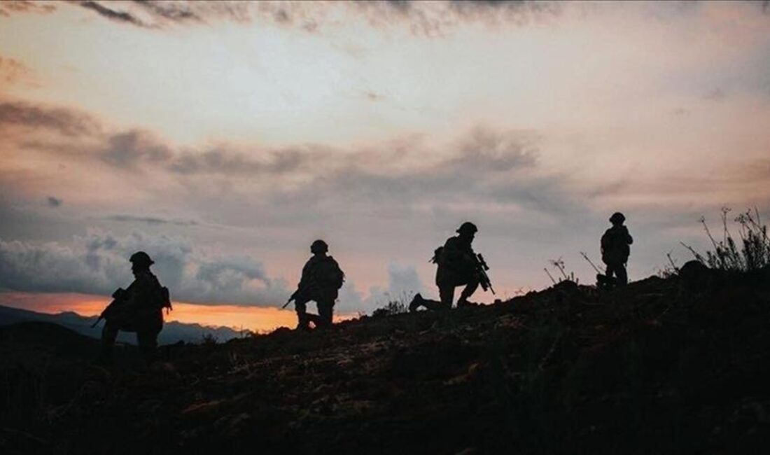 Milli Savunma Bakanlığı (MSB), icra edilen operasyonlarda Irak'ın ve Suriye'nin