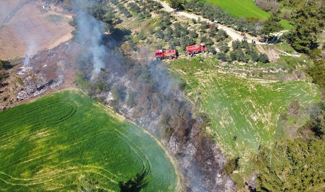 OSMANIYE (AA) – Kızyusuflu köyü Ören Mahallesi yakınlarındaki ormanlık alanda