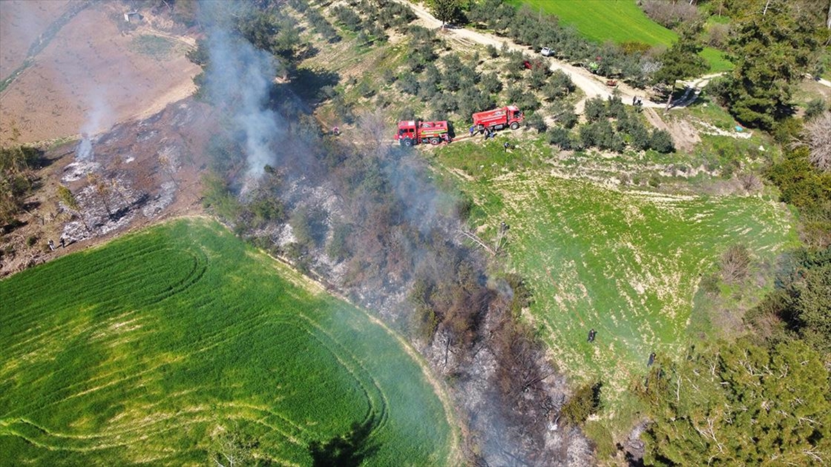 OSMANIYE (AA) – Kızyusuflu köyü Ören Mahallesi yakınlarındaki ormanlık alanda