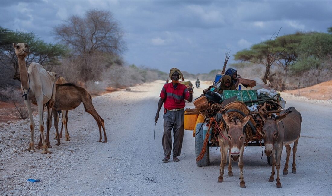 Etiyopya'nın kuzeyindeki Tigray eyaletinde iç savaşın ardından 1 yıldan fazla