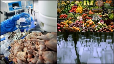 Rekabet Kurulu, geçen yıl 80 soruşturmayı cezayla sonuçlandırırken, bu soruşturmalarda