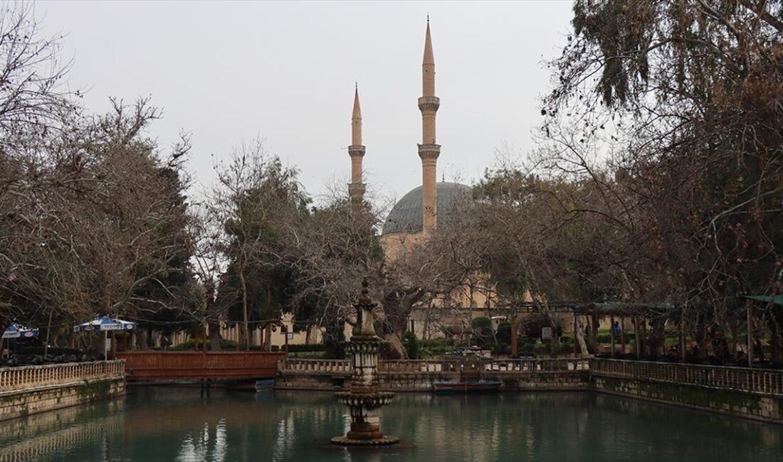 "Peygamberler şehri" olarak da adlandırılan Şanlıurfa'da depremlerde hasar gören camilerde