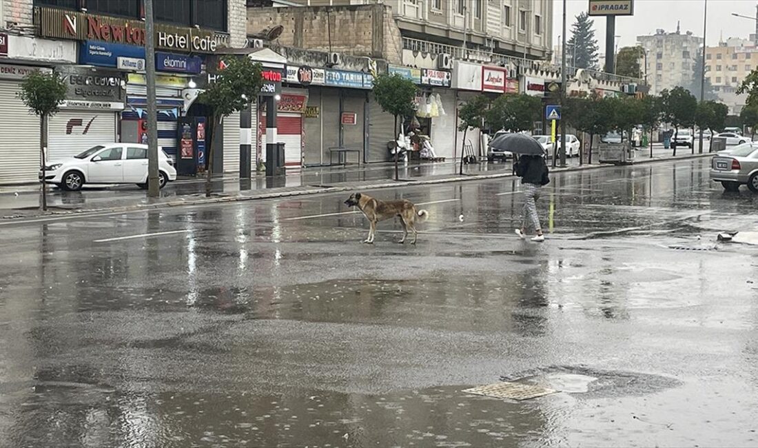 Şanlıurfa Valiliği, bugün beklenen sağanak nedeniyle il genelinde eğitime 14