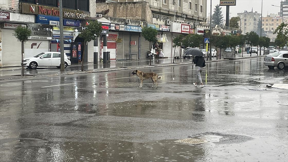 Şanlıurfa Valiliği, bugün beklenen sağanak nedeniyle il genelinde eğitime 14