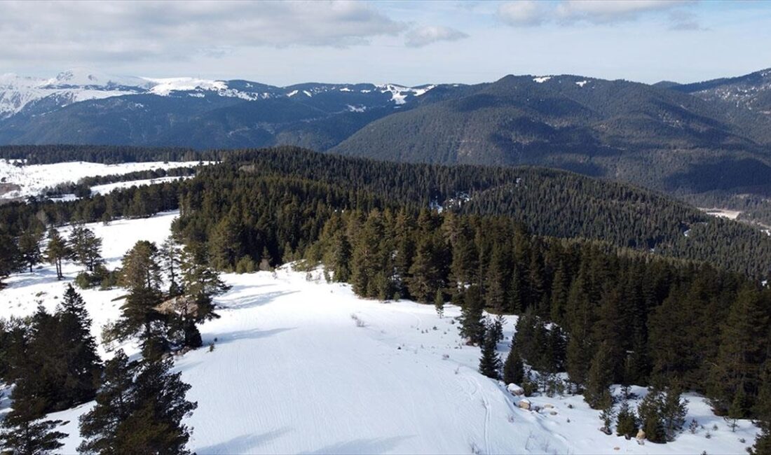 Ilgaz Dağı'ndaki turizmciler ve kayakseverler, hava sıcaklıklarının mevsim normallerinin üzerinde
