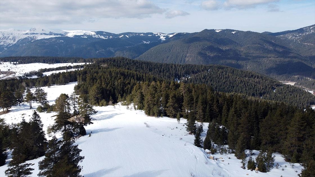 Ilgaz Dağı'ndaki turizmciler ve kayakseverler, hava sıcaklıklarının mevsim normallerinin üzerinde